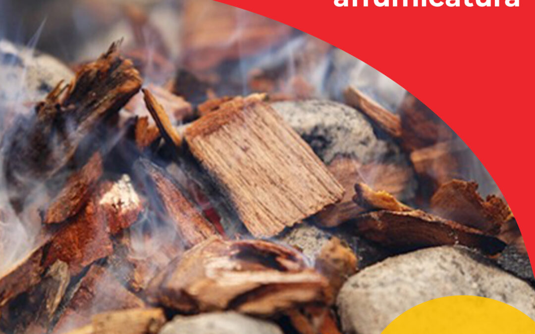 Selezione di legna per affumicatura: un tocco di sapore in più
